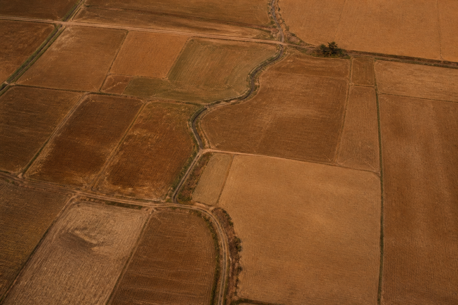 Satellite analytics platform translates daily orbital imagery into automated action